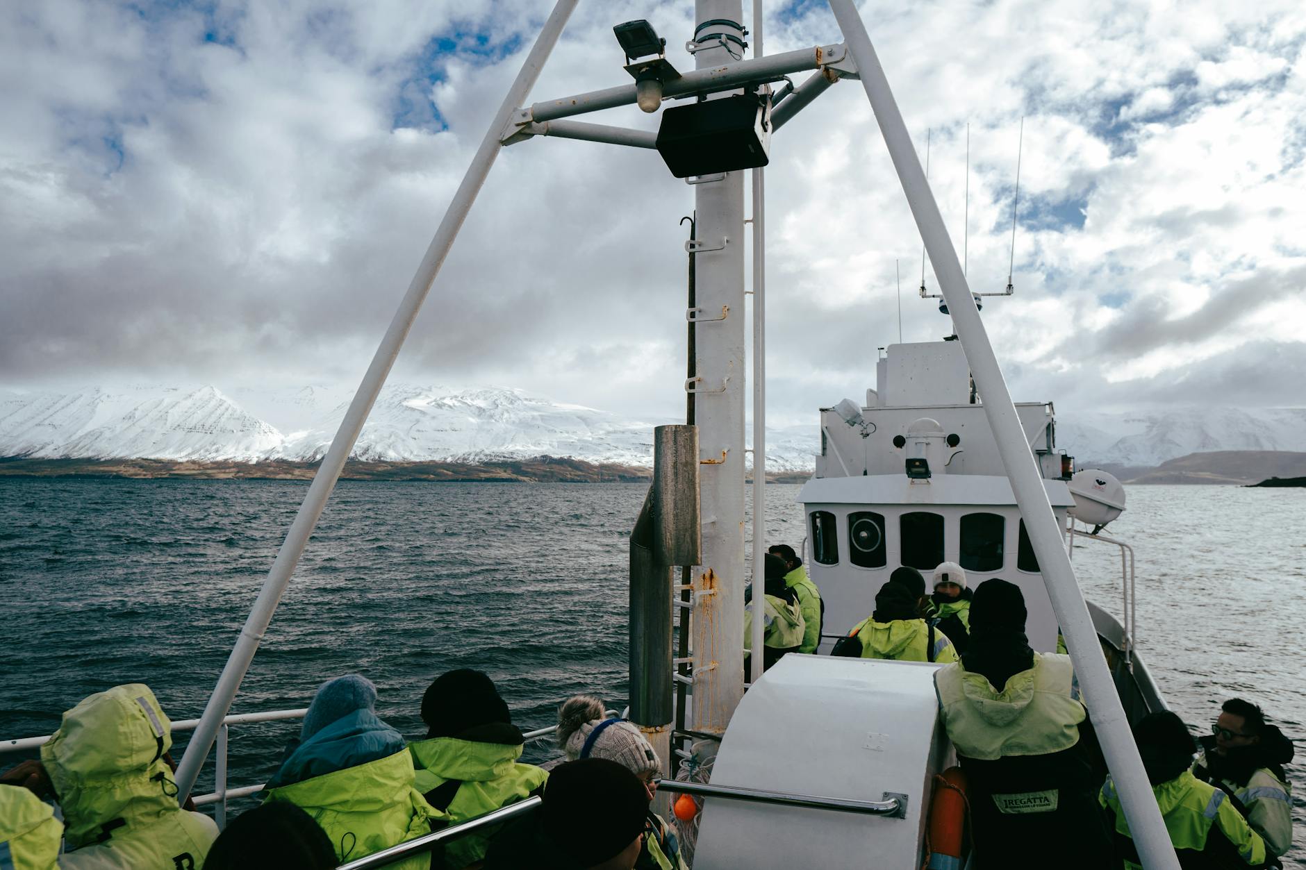 Islandia z dziećmi: plan podróży, najpiękniejsze miejsca i praktyczne porady dla rodzin Rejs na obserwację wielorybów wśród fiordów i ośnieżonych gór Islandii